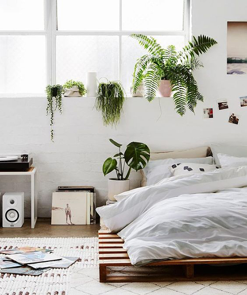 Une chambre jungle à dominante de blanc avec palettes en bois